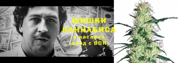 2c-b Ельня