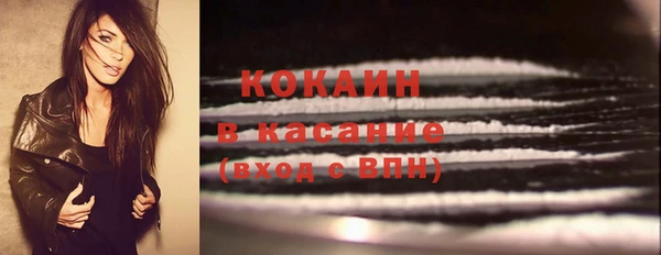 2c-b Ельня
