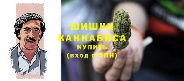 гашик Елизово