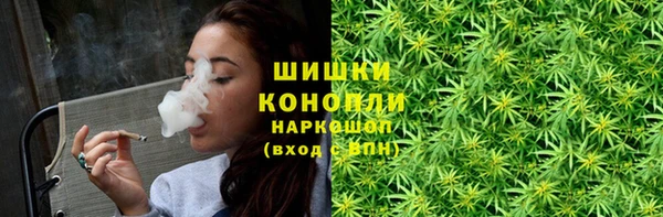 2c-b Ельня