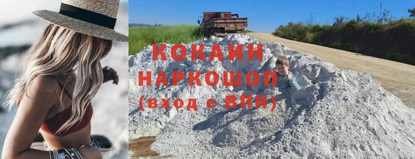 гашик Елизово