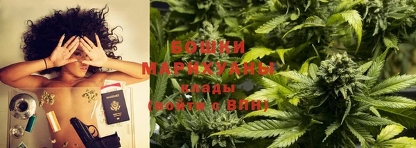 2c-b Ельня