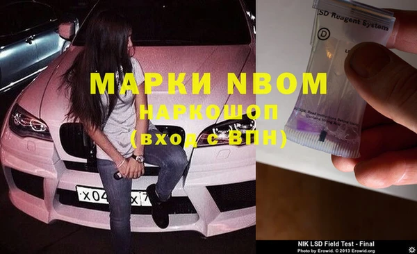гашик Елизово