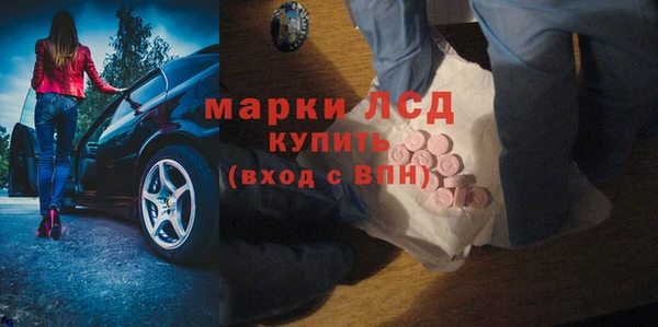 гашик Елизово